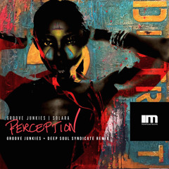 Perception (Groove Junkies & Deep Soul Syndicate Instrumental Mix) [feat. Solara]
