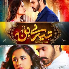 Tere Bin |OST| by Shani Arshad | GeoTv