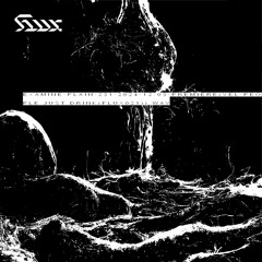 231-2024-12-03-premiere