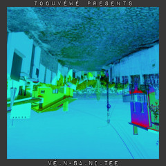 VéN-SA.Ni.TEE (Vénsanity)