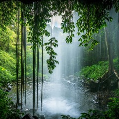 Sub Tropical