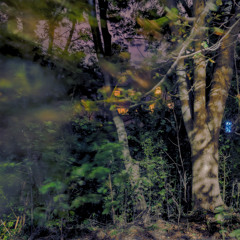 Brook (Leafcutter John Remix)