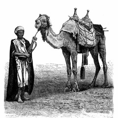 Monieb A. Bukhari - Mystical Trials