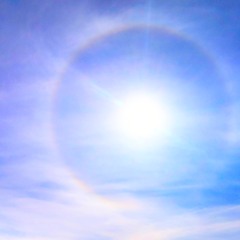 Translila From Dragon