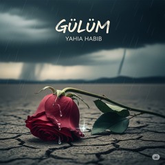 "Gülüm": Yahia Habib'den Kalbe Dokunan Ezgiler