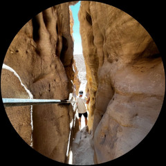 Zoo Project (Original Mix)