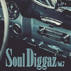 Soul Diggaz Vol.7