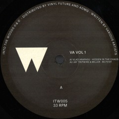 PREMIERE: Jay Tripwire & Miller - Bc75109 [Into The Woods]