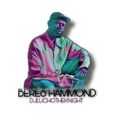 BERES HAMMOND MIX