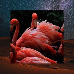 Fallen Feathers of a Flamingo (prod.DREAMSYXX)