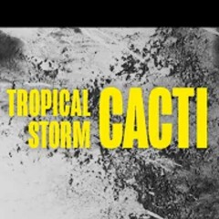 Cacti ft. Cospe - Tropical Storm (Cospe Remix)