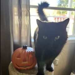 Another w/ kt! & Kaysnoto