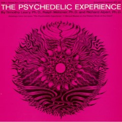 Timothy Leary - The Psychedelic Experience (1966, unedited)