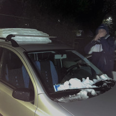 Tutte Catfish. / Tutte Escort.