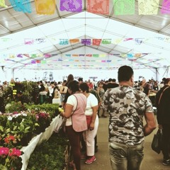 lost in my nostalgia...