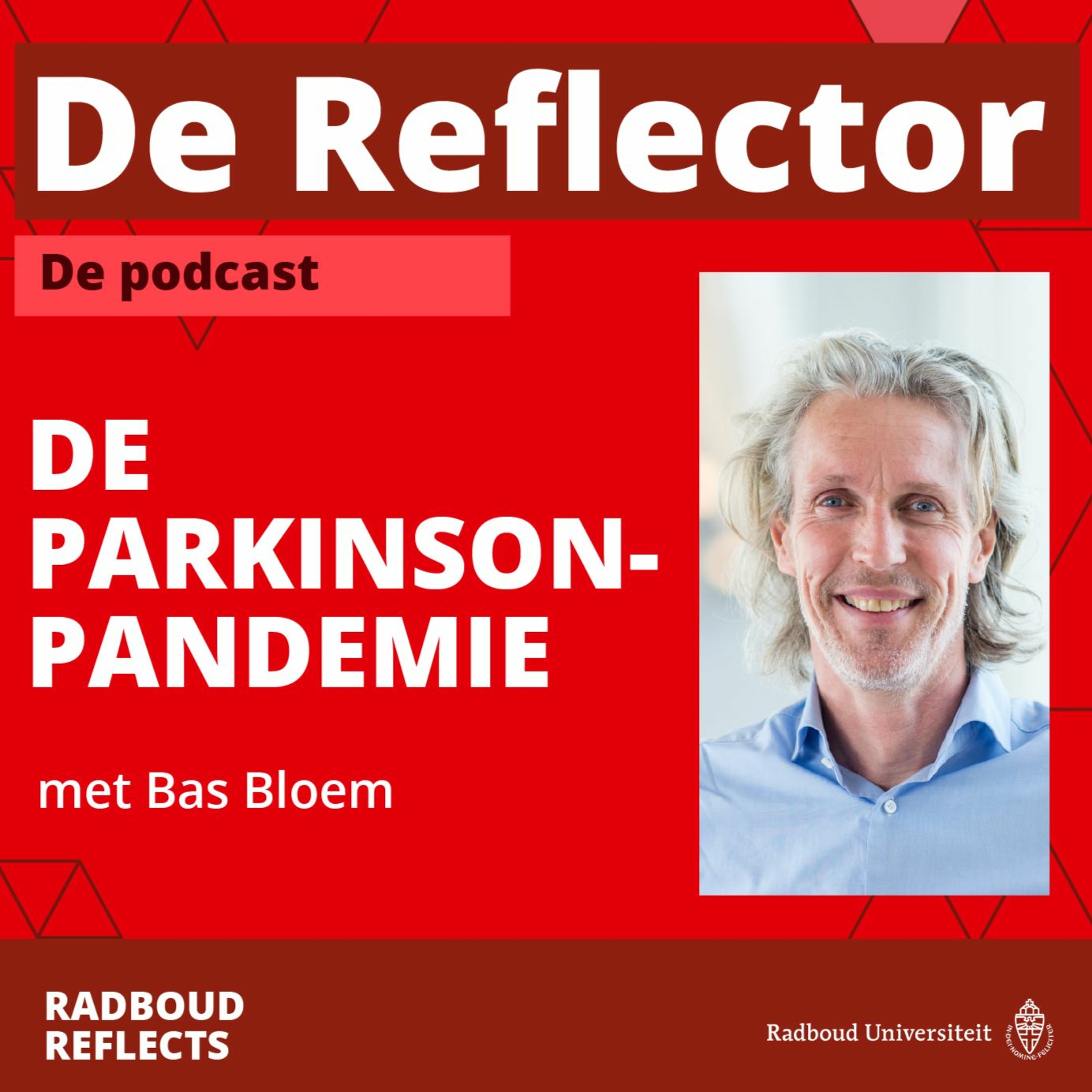 Radboud Reflects, verdiepende lezingen