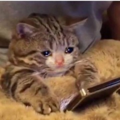 wallet picture song - Faith Zapata (cover)