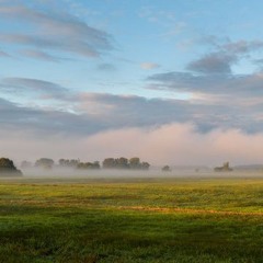outstanding ambient sets
