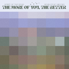 The More Of You The Better (Miki Fiki Remix)