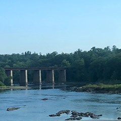 Acoustic lofi jam ft. Animusbones