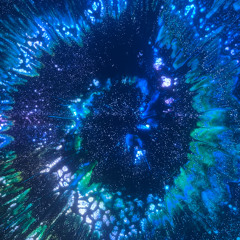 why aren't parrots called mockingbirds?