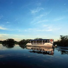 Best Darwin To Kakadu Day Trip By Air Including Yellow Water Cruise Tours Review