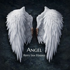 Sarah McLachlan - In The Arms Of An Angel (Rhys Ian Harris Live Cover)