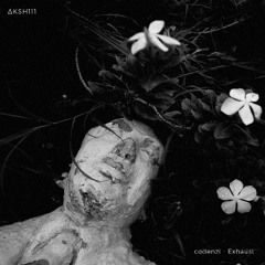 codenzi - Exhaust