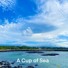 A Cup of Sea(김녕바다)