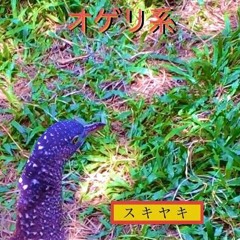 上を向いて歩こう (スキヤキ)