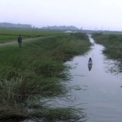 Swimmer(GRAPEVINE Cover)