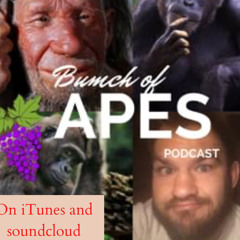 Wading your way upright with Algis Kuliukas