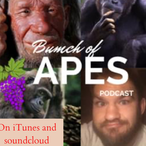 Wading your way upright with Algis Kuliukas