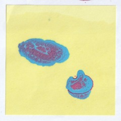 재곤과 연주 - YOONKEE KIM 08.31.24 | VISLA FM