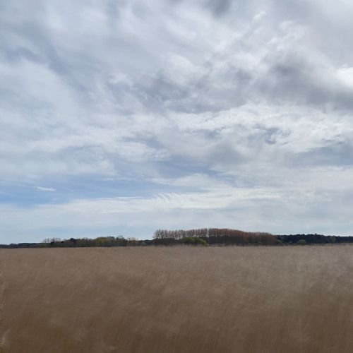 After You Have Done This