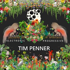 TIM PENNER