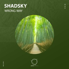 Shadsky - Wrong Way (Original Mix) (LIZPLAY RECORDS)
