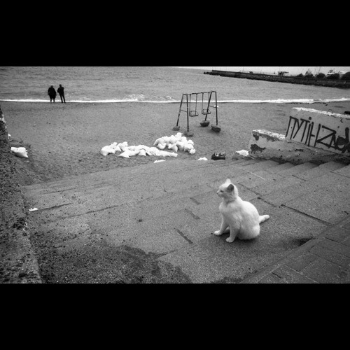 Glaskin - Silk [Grooves For Ukraine Vol​.​II]