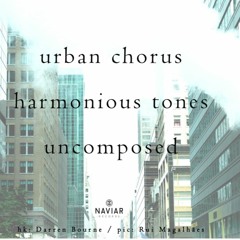 The No Concept Harmony ( Naviarhaiku 351 )