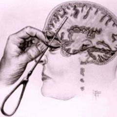 SkyLiquid (XTC-Skylobotomy edit)