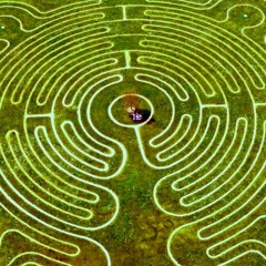 Grassy Maze