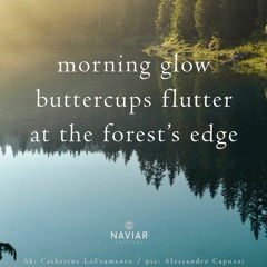 Mornings flutter (naviarhaiku491)
