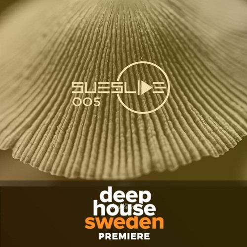 DHS Premiere: Stephan Zovsky & FiveP - Rebirth