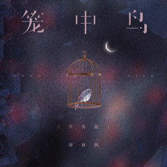 笼中鸟 (节奏版)