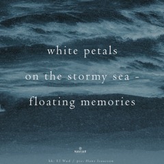 Naviar Haiku