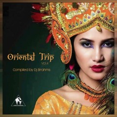 Oriental Trip, Vol. 4 (Compiled By Dj Brahms)