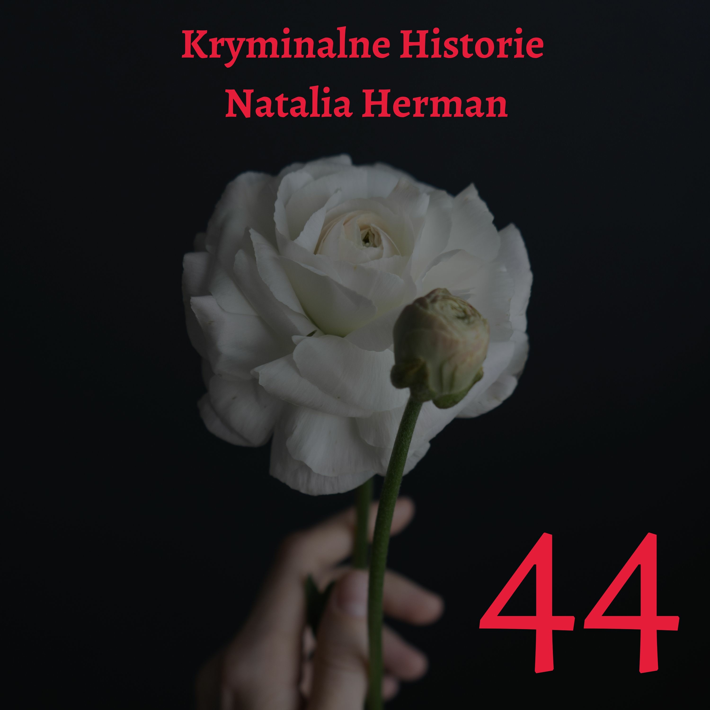 Natalia Herman Kryminalne Historie