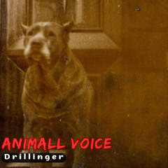 Animall Voice - Drillinger
