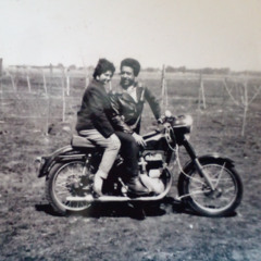 you can't hurry love - the concretes cover