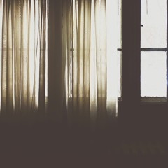 the violence of violets